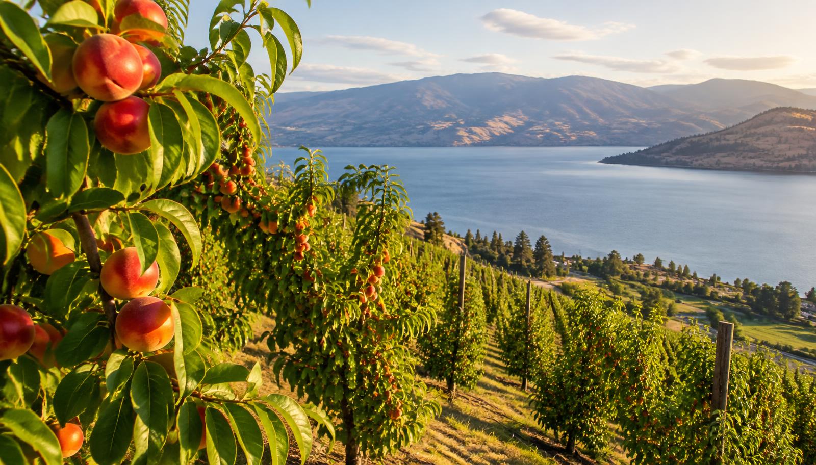 Summerland, British Columbia